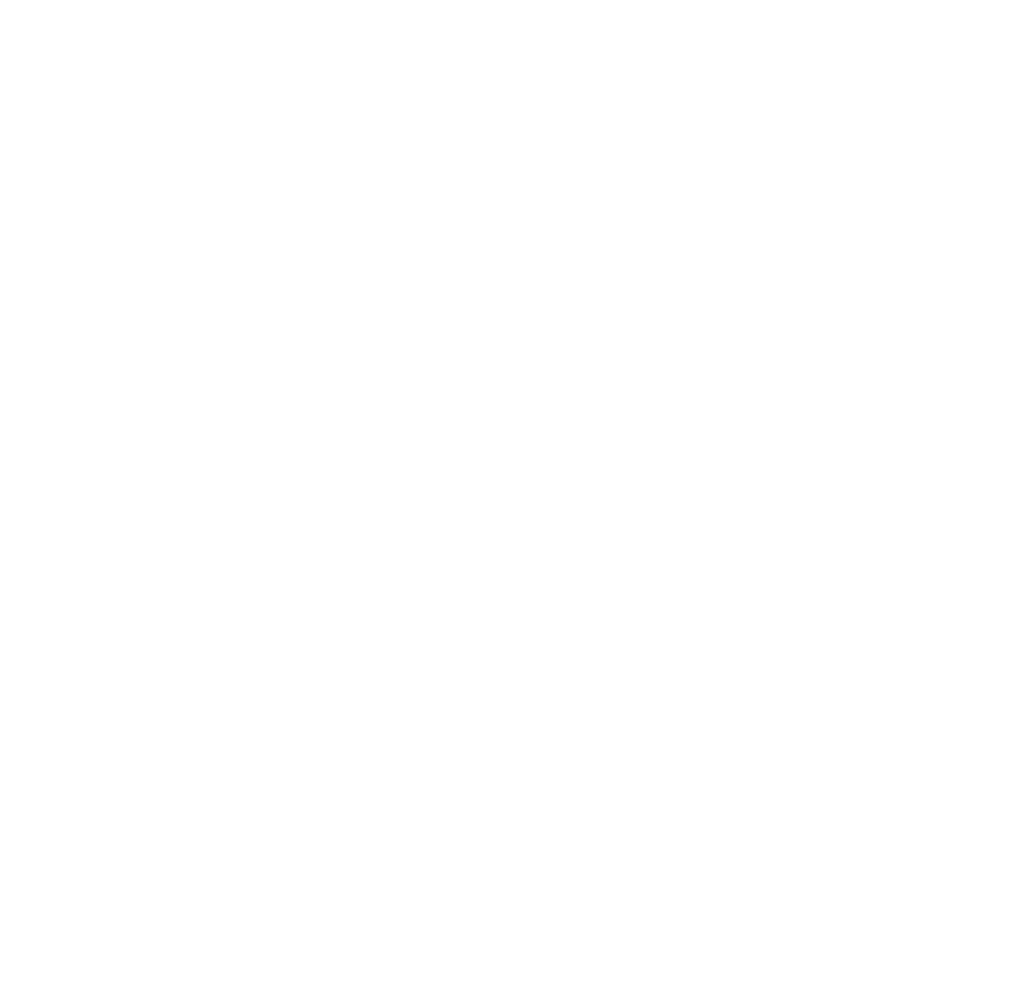 stebby logo vertical white